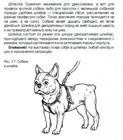 Як підібрати собаці шлею