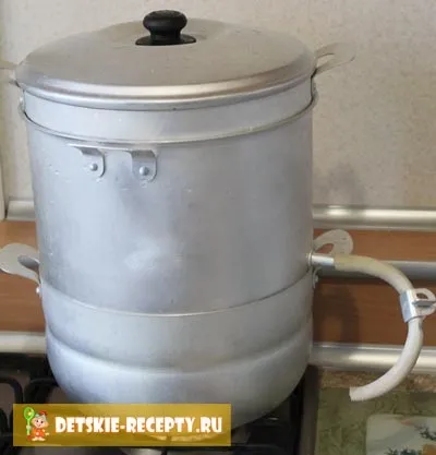 Як користуватися соковаркою - інструкція з фото, дитячі рецепти, страви (користуватися) Як користуватися соковаркою - інструкція з фото, дитячі рецепти, страви