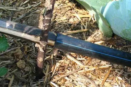 Як зробити систему крапельного поливу своїми руками - жіночий світ (рослини) Як зробити систему крапельного поливу своїми руками - жіночий світ
