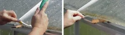 Як правильно доглядати за теплицею з полікарбонату (полікарбонату) Як правильно доглядати за теплицею з полікарбонату