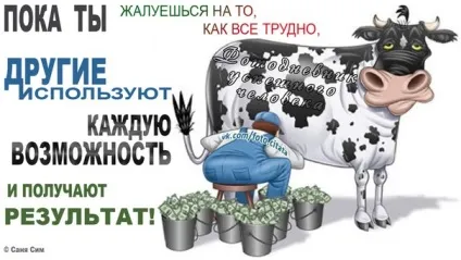 Як правильно починати мережевий бізнес (бізнес) Як правильно починати мережевий бізнес