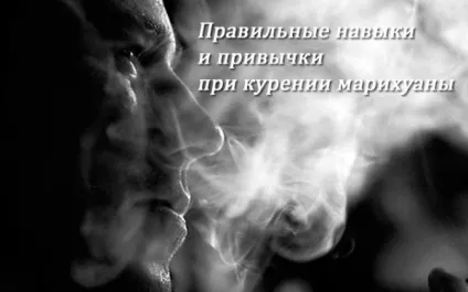 Як правильно курити марихуану правила і навички високоефективного планокураmj novosti (курити) Як правильно курити марихуану правила і навички високоефективного планокураmj novosti