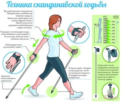 Як правильно ходити в поході