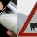 Як привчити дитину їсти овочі, розвиток малюка (є) Як привчити дитину їсти овочі, розвиток малюка