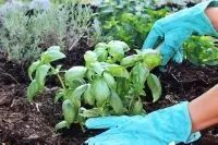 Як перевірити податок на землю платникам податків (перевірити) Як перевірити податок на землю платникам податків