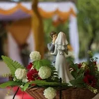 Як провести весілля без гостей (відсвяткувати весілля тільки) Як провести весілля без гостей