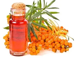 Як приймати масло обліпихи при гастриті (масло) Як приймати масло обліпихи при гастриті