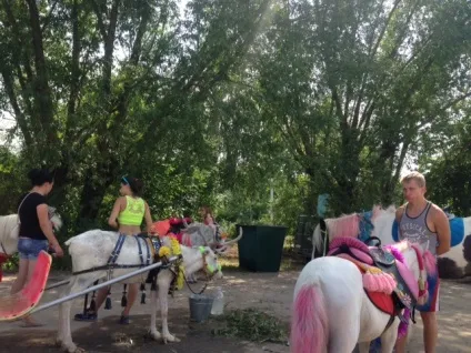 Як залучити мільйонерів, суспільно-політичний журнал - влада (влада) Як залучити мільйонерів, суспільно-політичний журнал - влада