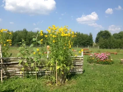 Як залучити мільйонерів, суспільно-політичний журнал - влада (мільйонерів) Як залучити мільйонерів, суспільно-політичний журнал - влада
