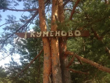Як залучити мільйонерів, суспільно-політичний журнал - влада (влада) Як залучити мільйонерів, суспільно-політичний журнал - влада