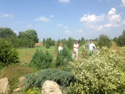 Як залучити мільйонерів, суспільно-політичний журнал - влада (зішестя хреста Господнього) Як залучити мільйонерів, суспільно-політичний журнал - влада