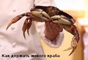 Як обробити і приготувати краба, там на невідомих доріжках