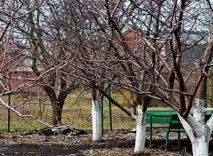 Як розвести мідний купорос обробка плодових дерев і чагарників (купорос) Як розвести мідний купорос обробка плодових дерев і чагарників