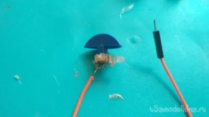 Як зробити просту ультразвукову сигналізацію на arduino своїми руками (arduino) Як зробити просту ультразвукову сигналізацію на arduino своїми руками