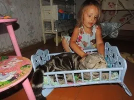 Як спорудити маленький ставок у себе в городі - потроху багато про що (ставок) Як спорудити маленький ставок у себе в городі - потроху багато про що