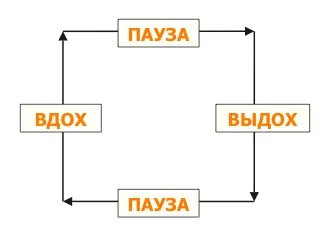 Як зберегти концентрацію уваги за кермом, блог видавництва «Манн, Іванов і Фербер»