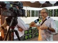 Як згорнути косяк, щоб він горів повільніше і не закінчувався довше (повільніше) Як згорнути косяк, щоб він горів повільніше і не закінчувався довше
