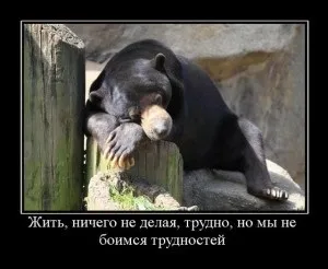 Як прибрати перешкоди з життєвого шляху, pro щастя (життєвого) Як прибрати перешкоди з життєвого шляху, pro щастя