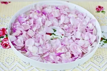 Як сушити пелюстки троянди - рецепт з покроковими фото (троянди) Як сушити пелюстки троянди - рецепт з покроковими фото