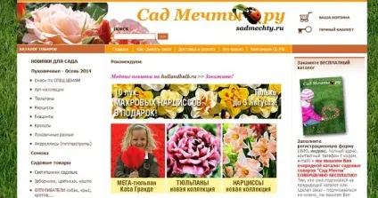 Як створити успішний інтернет-магазин (інтернет-магазин) Як створити успішний інтернет-магазин
