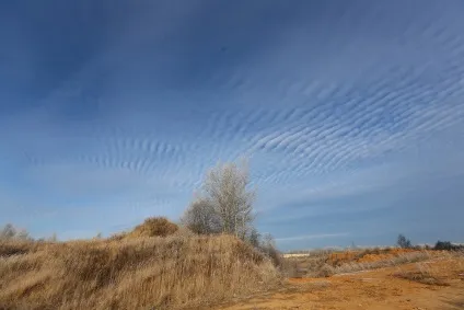 Як вкрасти землю під Дружковкаом