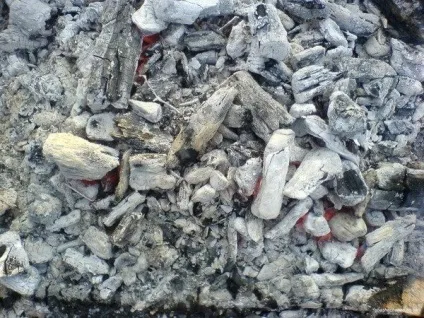 Як збільшити зав'язь на помідорах народними засобами (помідор) Як збільшити зав'язь на помідорах народними засобами