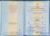 Як виглядає диплом, заповнений відповідно до державних стандартів (відповідно) Як виглядає диплом, заповнений відповідно до державних стандартів