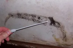 Як вивести цвіль на стелі в житловій кімнаті (вивести цвіль стелі прибрати грибок) Як вивести цвіль на стелі в житловій кімнаті