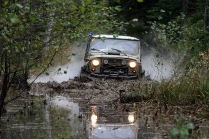 Як вибрати вітчизняний автомобіль (30 фото текст) (автомобіль) Як вибрати вітчизняний автомобіль (30 фото текст)
