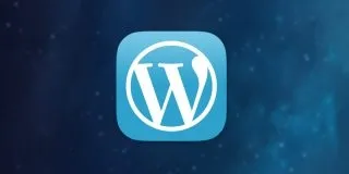 Як вставити рекламний банер на сайт wordpress (банер) Як вставити рекламний банер на сайт wordpress