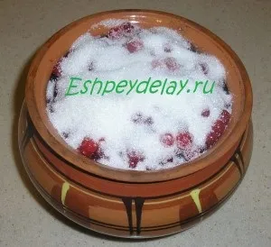 Калина парена - рецепт з фото (як парити калину) Калина парена - рецепт з фото