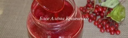 Калина на зиму - рецепти з цукром (протерта, без кісточок, без варіння), блог Олени Кравченко (рецепти) Калина на зиму - рецепти з цукром (протерта, без кісточок, без варіння), блог Олени Кравченко