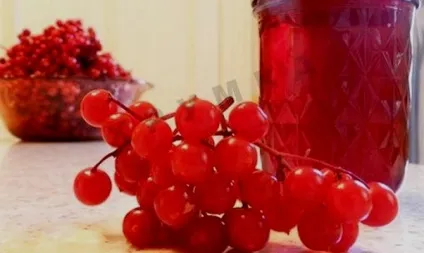Калина з цукром на зиму - корисні властивості протертою ягоди, рецепти відео (корисні) Калина з цукром на зиму - корисні властивості протертою ягоди, рецепти відео