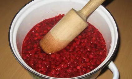 Калина з цукром на зиму - корисні властивості протертою ягоди, рецепти відео (калина) Калина з цукром на зиму - корисні властивості протертою ягоди, рецепти відео
