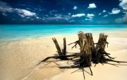 Карибське море фото