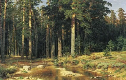 Картина «корабельний гай» і (гай) Картина «корабельний гай» і