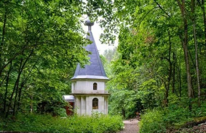 Кам'яна чаша (Самарська область) (чаша) Кам'яна чаша (Самарська область)