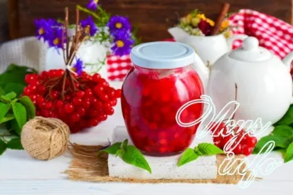 Калина з цукром на зиму без варіння - корисні властивості і рецепти (зиму) Калина з цукром на зиму без варіння - корисні властивості і рецепти