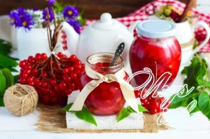 Калина з цукром на зиму без варіння - корисні властивості і рецепти (властивості) Калина з цукром на зиму без варіння - корисні властивості і рецепти