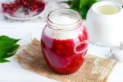 Калина з цукром на зиму без варіння - корисні властивості і рецепти (без варіння) Калина з цукром на зиму без варіння - корисні властивості і рецепти