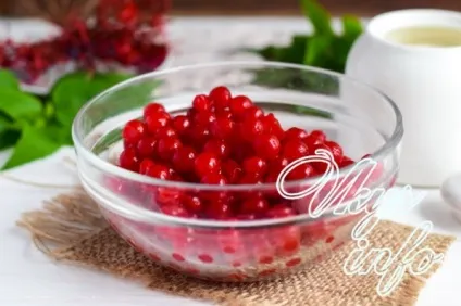 Калина з цукром на зиму без варіння - корисні властивості і рецепти (калина) Калина з цукром на зиму без варіння - корисні властивості і рецепти
