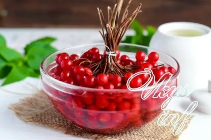 Калина з цукром на зиму без варіння - корисні властивості і рецепти (калина) Калина з цукром на зиму без варіння - корисні властивості і рецепти