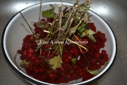 Калина на зиму - рецепти з цукром (протерта, без кісточок, без варіння), блог Олени Кравченко (калина на зиму рецепти з цукром) Калина на зиму - рецепти з цукром (протерта, без кісточок, без варіння), блог Олени Кравченко