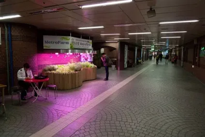 Як живуть в південній корее (метро є дуже) Як живуть в південній корее