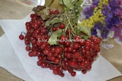 Калина на зиму - рецепти з цукром (протерта, без кісточок, без варіння), блог Олени Кравченко (зиму) Калина на зиму - рецепти з цукром (протерта, без кісточок, без варіння), блог Олени Кравченко