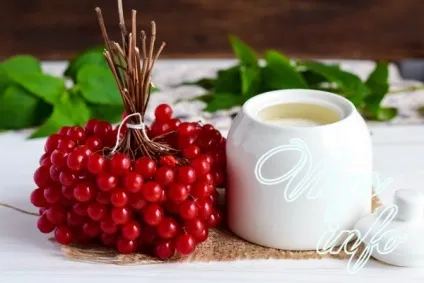 Калина з цукром на зиму без варіння - корисні властивості і рецепти (калина) Калина з цукром на зиму без варіння - корисні властивості і рецепти