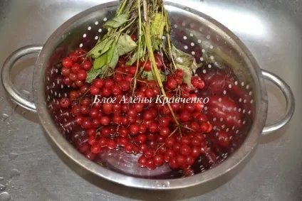Калина на зиму - рецепти з цукром (протерта, без кісточок, без варіння), блог Олени Кравченко (зиму) Калина на зиму - рецепти з цукром (протерта, без кісточок, без варіння), блог Олени Кравченко
