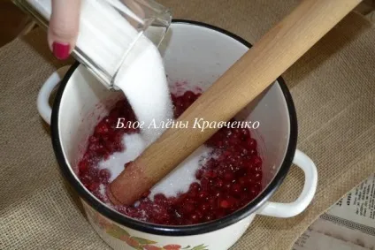 Калина на зиму - рецепти з цукром (протерта, без кісточок, без варіння), блог Олени Кравченко (калина на зиму рецепти з цукром) Калина на зиму - рецепти з цукром (протерта, без кісточок, без варіння), блог Олени Кравченко