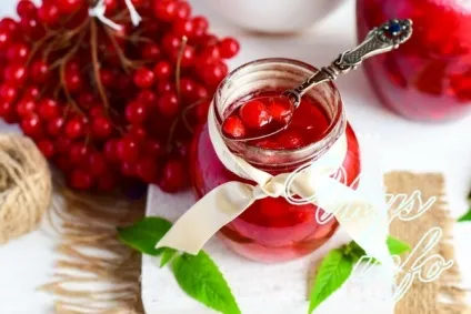 Калина з цукром на зиму без варіння - корисні властивості і рецепти (зиму) Калина з цукром на зиму без варіння - корисні властивості і рецепти