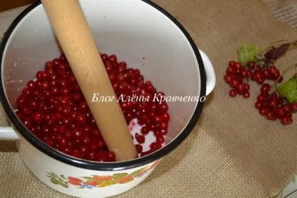 Калина на зиму - рецепти з цукром (протерта, без кісточок, без варіння), блог Олени Кравченко (зиму) Калина на зиму - рецепти з цукром (протерта, без кісточок, без варіння), блог Олени Кравченко
